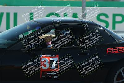 media/Jun-07-2025-Speed Ventures (Sat) [[b125dfaa5b]]/Black group/Grid/